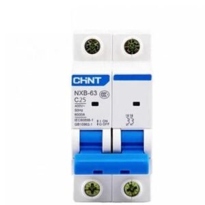 CHINT NXB-63 C-curve 2P 16A