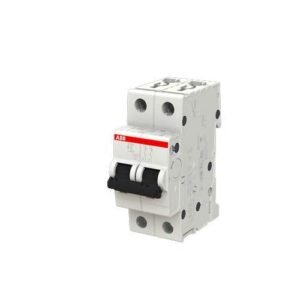 ABB S262-B6 2P 6A